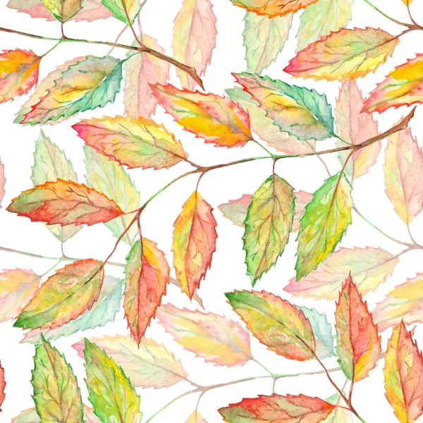 Watercolor rowan ashberry leaf branch botanical seamless pattern — 스톡 사진