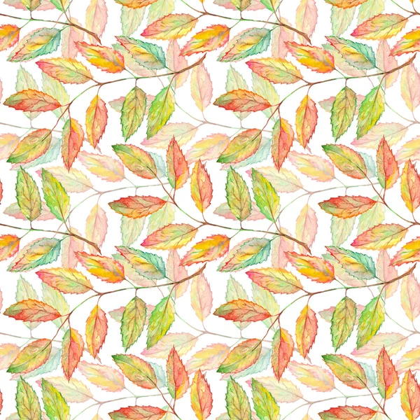 Watercolor rowan ashberry leaf branch botanical seamless pattern — Zdjęcie stockowe