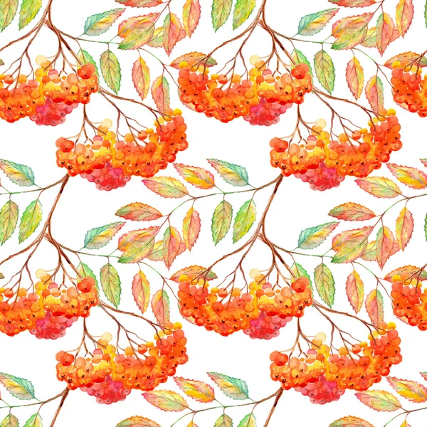 Akvarell rowan ashberry leveles ág zökkenőmentes minta — Stock Fotó