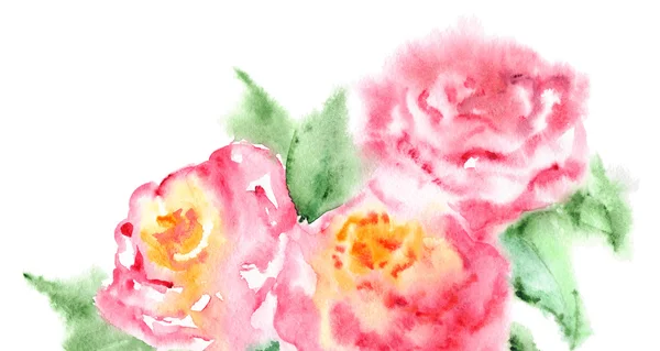 Aquarelle rose thé rose fleur composition florale isolé — Photo