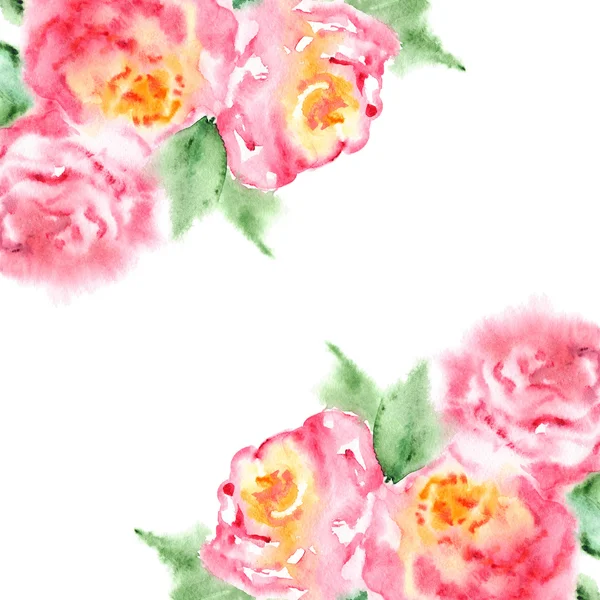 Aquarelle rose thé rose fleur floral composition cadre — Photo