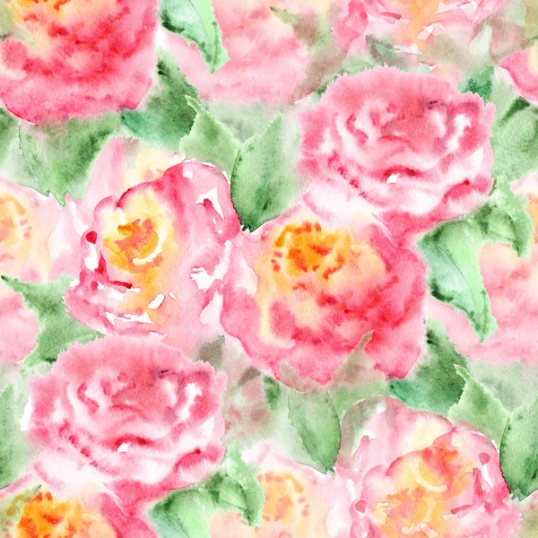 Акварель розовый чай розовый цветок цветочный состав изолирован — стоковое фото