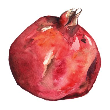 Suluboya elle çizilmiş nar tatlı meyve izole