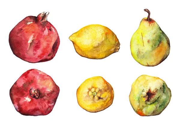 Acquerello melograno limone pera frutta set isolato — Foto Stock