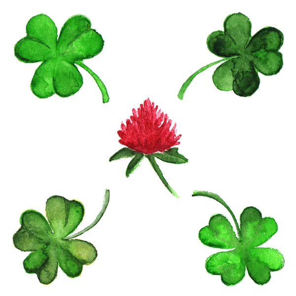 Aquarel Ierse clover shamrock bloem geïsoleerde instellen — Stockfoto