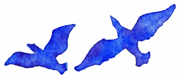 Acuarela mano dibujado azul violeta ave vector conjunto aislado — Archivo Imágenes Vectoriales