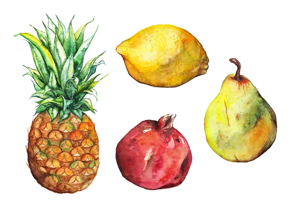 Akvarell ananász gránátalma, citrom körte gyümölcs meg elszigetelt — Stock Fotó