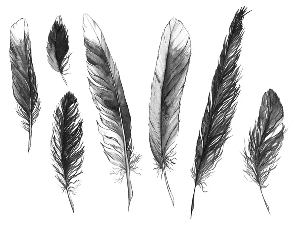 Suluboya siyah ve beyaz siyah beyaz tüy izole ayarla