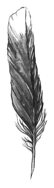 Acuarela blanco y negro monocromo sola pluma aislada — Foto de Stock