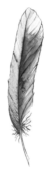Acquerello bianco e nero piuma singola monocromatica isolato — Foto Stock