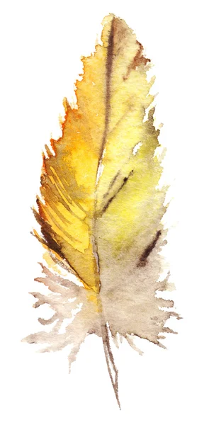 고립 된 수채화 노란색 갈색 오렌지 앵무새 새 깃털 — 스톡 사진