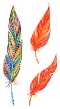 Gökkuşağı renkli gökkuşağı kırmızı sarı turuncu kuş tüyü izole ayarla