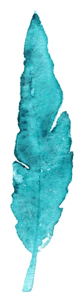 Watercolor turquoise cyan mint bird feather isolated — Stock Photo, Image