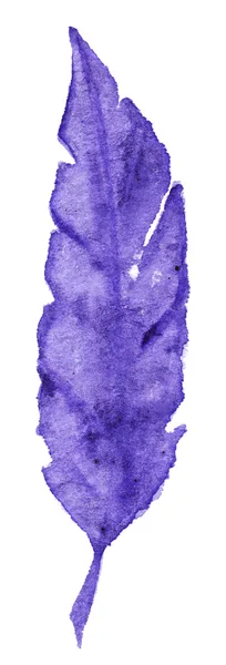 Acuarela única pluma de pájaro púrpura violeta aislada — Foto de Stock