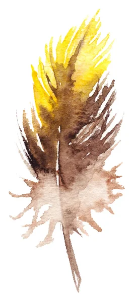 Aquarelle jaune brun orange perroquet oiseau plume isolé — Photo