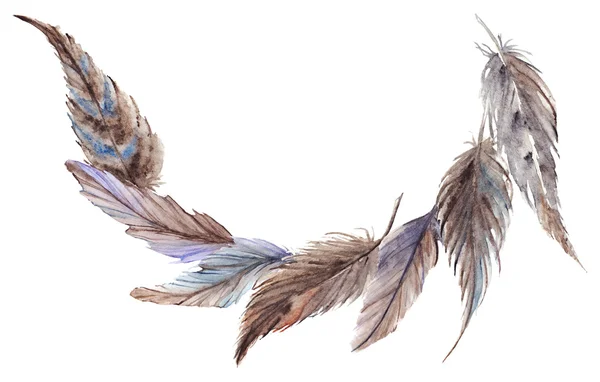 Акварельно-серые серо-голубые коричневые перья — стоковое фото
