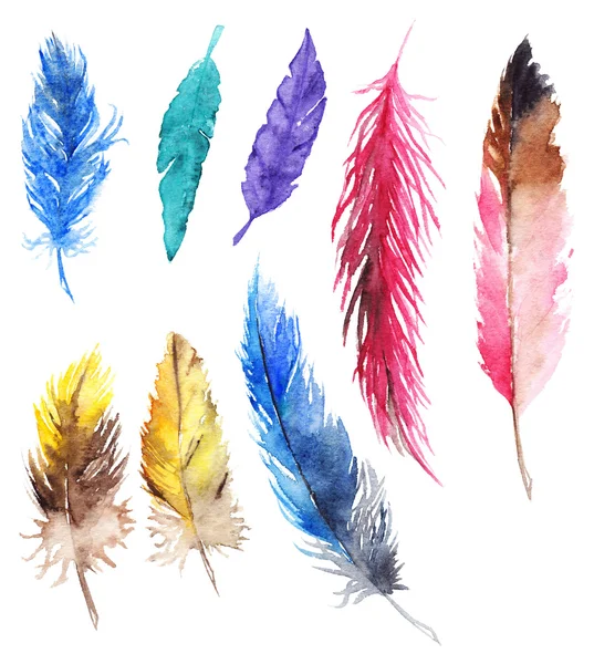 水彩的多彩周杰伦鹦鹉羽毛隔离套 — 图库照片
