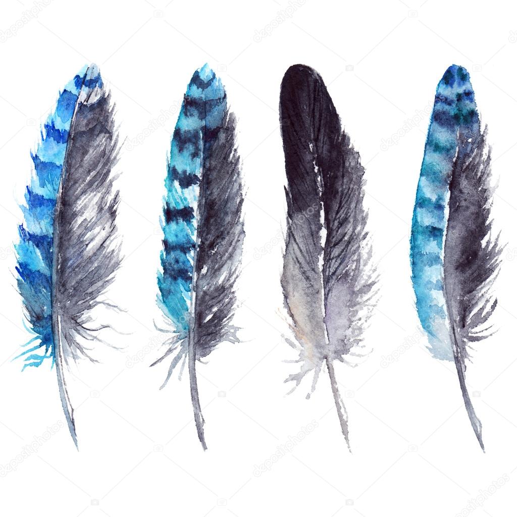 Watercolor Black And Blue Jay Feather Set Isolated Stock Photo By C Silmairel Watercolor Black And Blue Jay Feather Set Isolated Stock Photo By C Silmairel