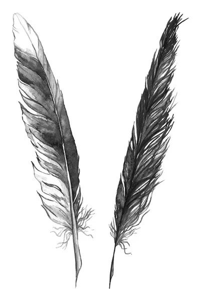 Watercolor black and white monochrome feather set isolated — Stock Photo, Image