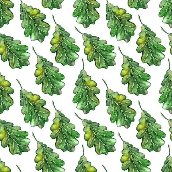 Watercolor three oak green leaf acorn seed seamless pattern background — Stock Photo, Image