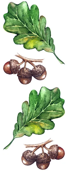 水彩三橡木片绿叶橡子种子无缝图案背景 — 图库照片