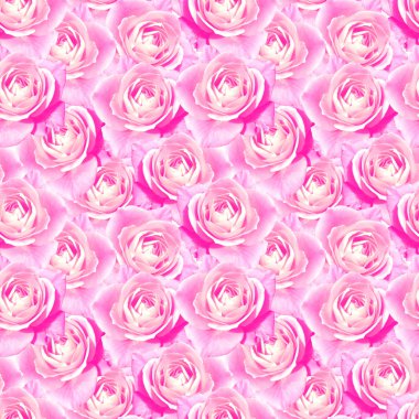 Pembe çay çiçek çiçek Dikişsiz desen doku gül