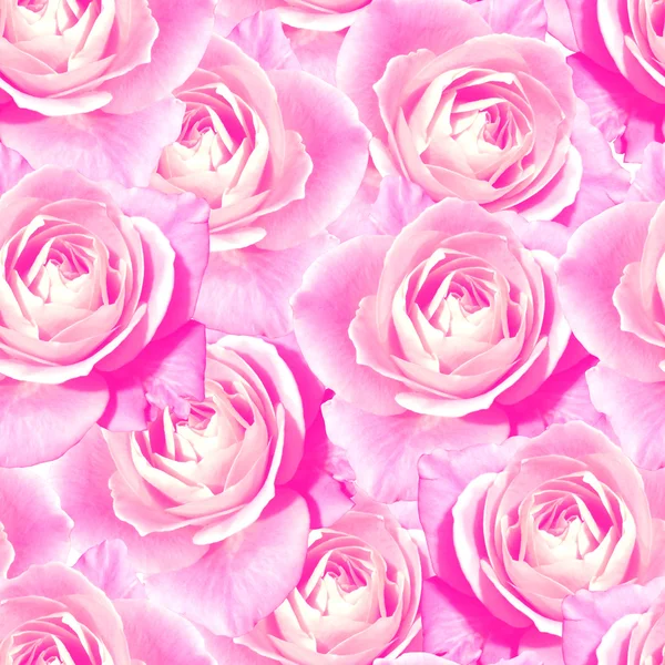 분홍색 차 장미 꽃 꽃 원활한 패턴 질감 — 스톡 사진