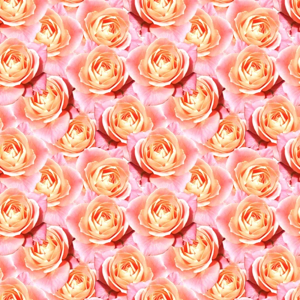 Rosa Tee Rose Blume Blumen nahtlose Muster Textur — Stockfoto