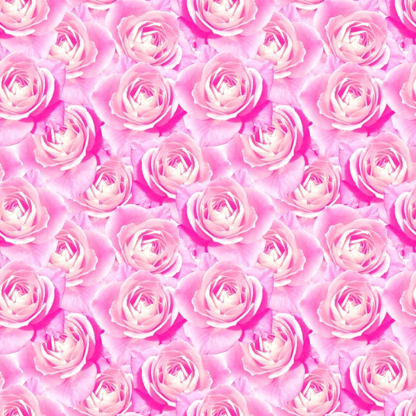 Roze thee steeg bloem naadloze bloemmotief textuur — Stockfoto