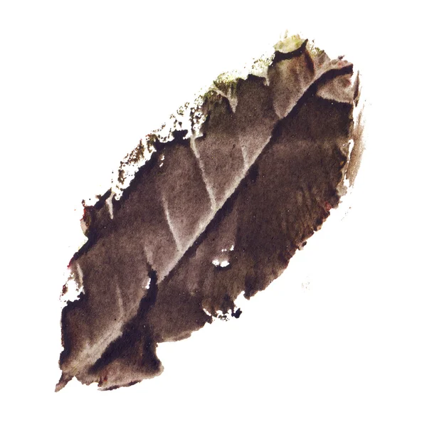 Autumn fall nature dried tree leaf isolated — Stock Photo, Image