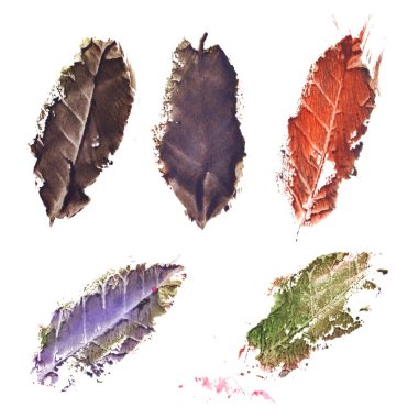 Sonbahar sonbahar kurumuş ağaç yaprak izole ayarla