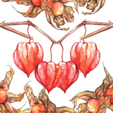 Suluboya el physalis kış kiraz pelerin bektaşi üzümü berry dikişsiz desen çizilmiş