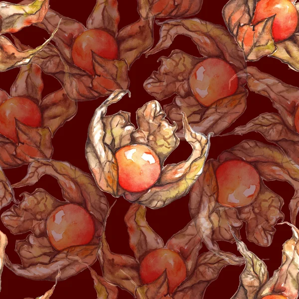 Акварель ручной работы Physalis зимний вишневый плащ крыжовник фрукты ягоды бесшовный узор — стоковое фото