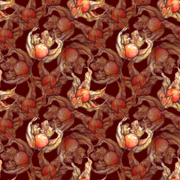 水彩画描き下ろしフィサリス冬桜ケープグースベリーフルーツベリーシームレスパターン — ストック写真