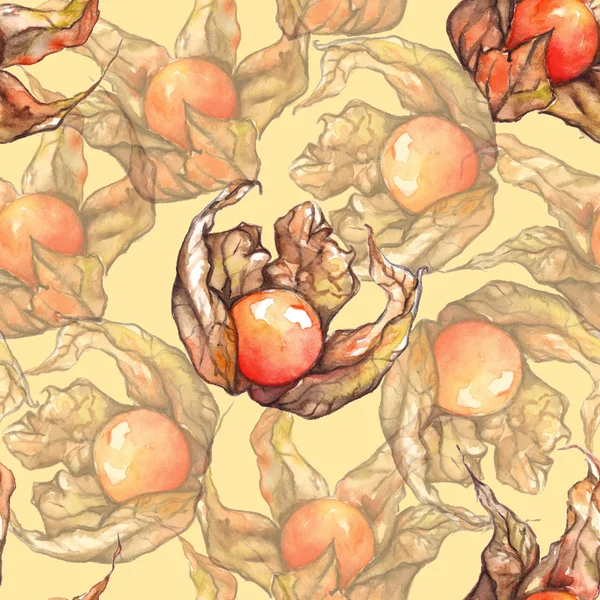 Aquarelle dessinée à la main physalis hiver cerise cape groseille fruit baie motif sans couture — Photo
