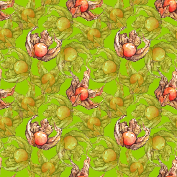 水彩画描き下ろしフィサリス冬桜ケープグースベリーフルーツベリーシームレスパターン — ストック写真