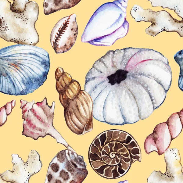 Ακουαρέλα θάλασσα ωκεανό ιππόκαμπος seashell κοραλλιογενείς ammonit σκανταλιάρικο παιδί χωρίς ραφή πρότυπο — Φωτογραφία Αρχείου