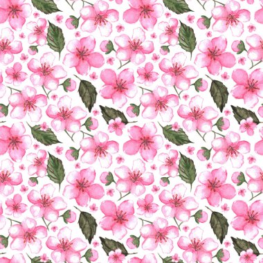 Sulu boya pembe kiraz sakura Dikişsiz desen doku arka plan