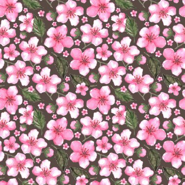 Sulu boya pembe kiraz sakura Dikişsiz desen doku arka plan