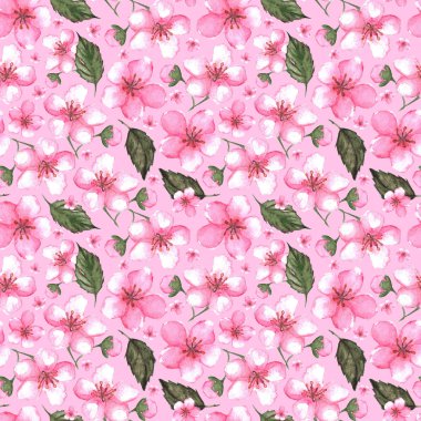 Sulu boya pembe kiraz sakura Dikişsiz desen doku arka plan