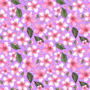Sulu boya pembe kiraz sakura Dikişsiz desen doku arka plan