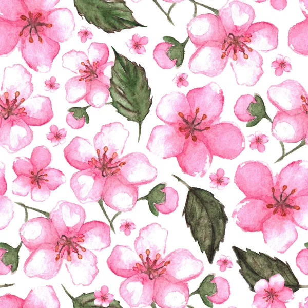Akvarell rosa körsbär sakura sömlös bakgrund konsistens — Stockfoto