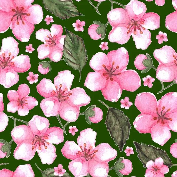 Aquarel roze cherry sakura naadloze patroon textuur achtergrond — Stockfoto