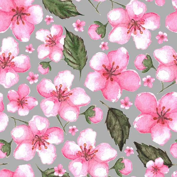 Aquarelle rose cerise sakura motif sans couture texture fond — Photo