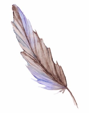 İzole ayarla suluboya gri gri mavi menekşe kahverengi tüy