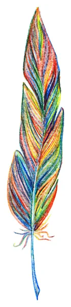 Rainbow colorful bird feather vector single isolated — Stock Vector