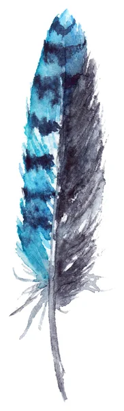 Aquarela preto e azul jay penas vetor isolado — Vetor de Stock