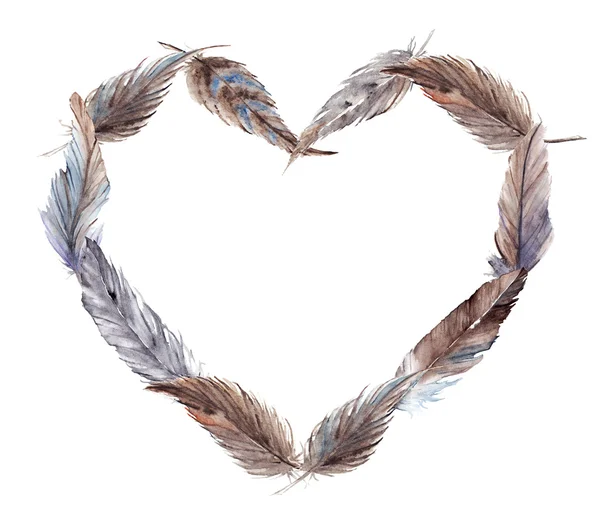 Watercolor brown gray grey blue feather heart isolated — Stock Photo, Image