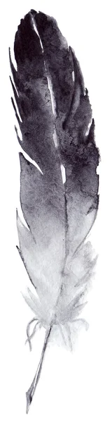 Watercolor black and white single feather isolated — Stock Photo, Image