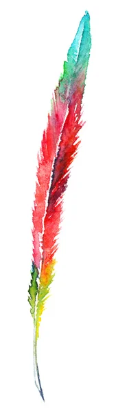 Watercolor colorful rainbow exotic parrot feather isolated — Stock Photo, Image